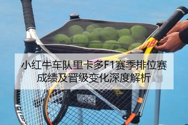 小红牛车队里卡多F1赛季排位赛成绩及晋级变化深度解析
